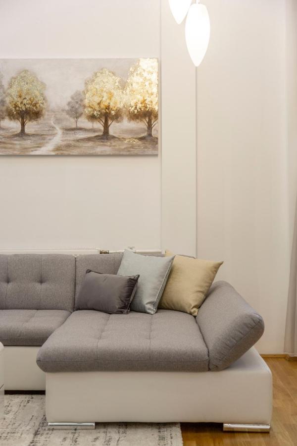 Luxurious & Spacious Downtown Residence In Liszt Ferenc Square Budapest Esterno foto